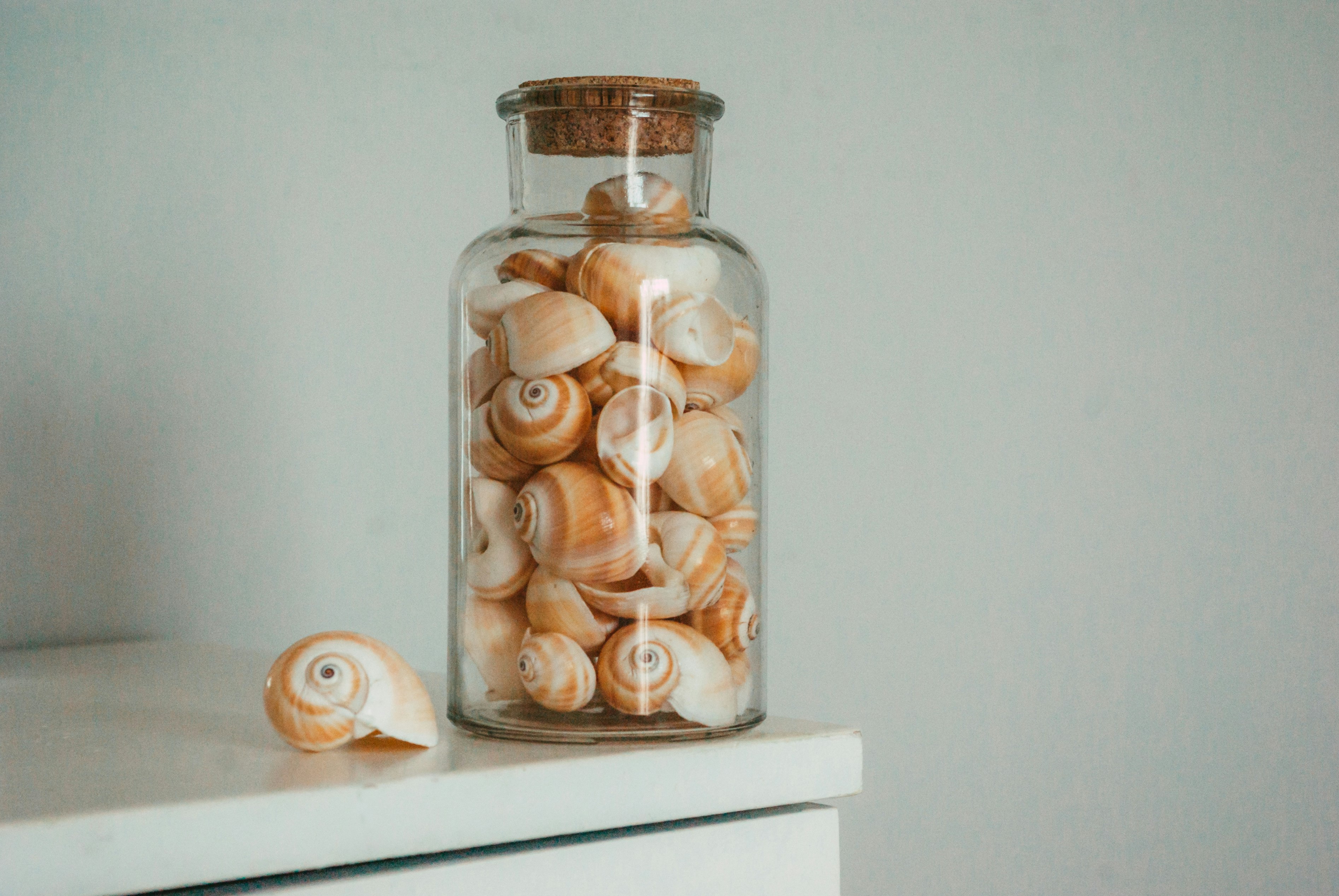 white ceramic jar with white round food